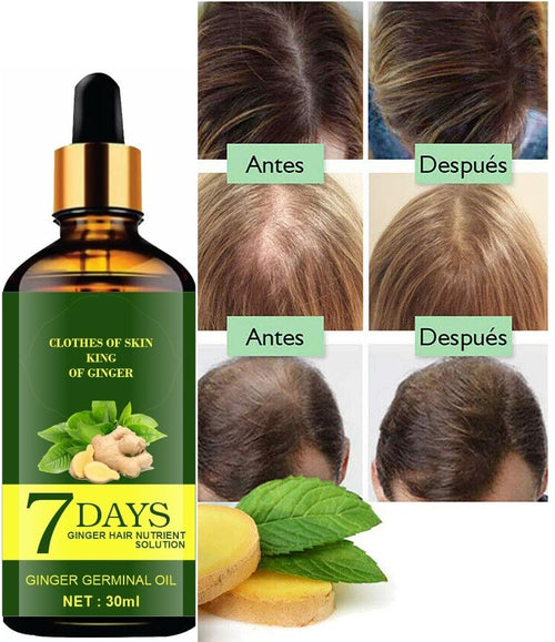 Ginger & Chamomile Hair Oil
